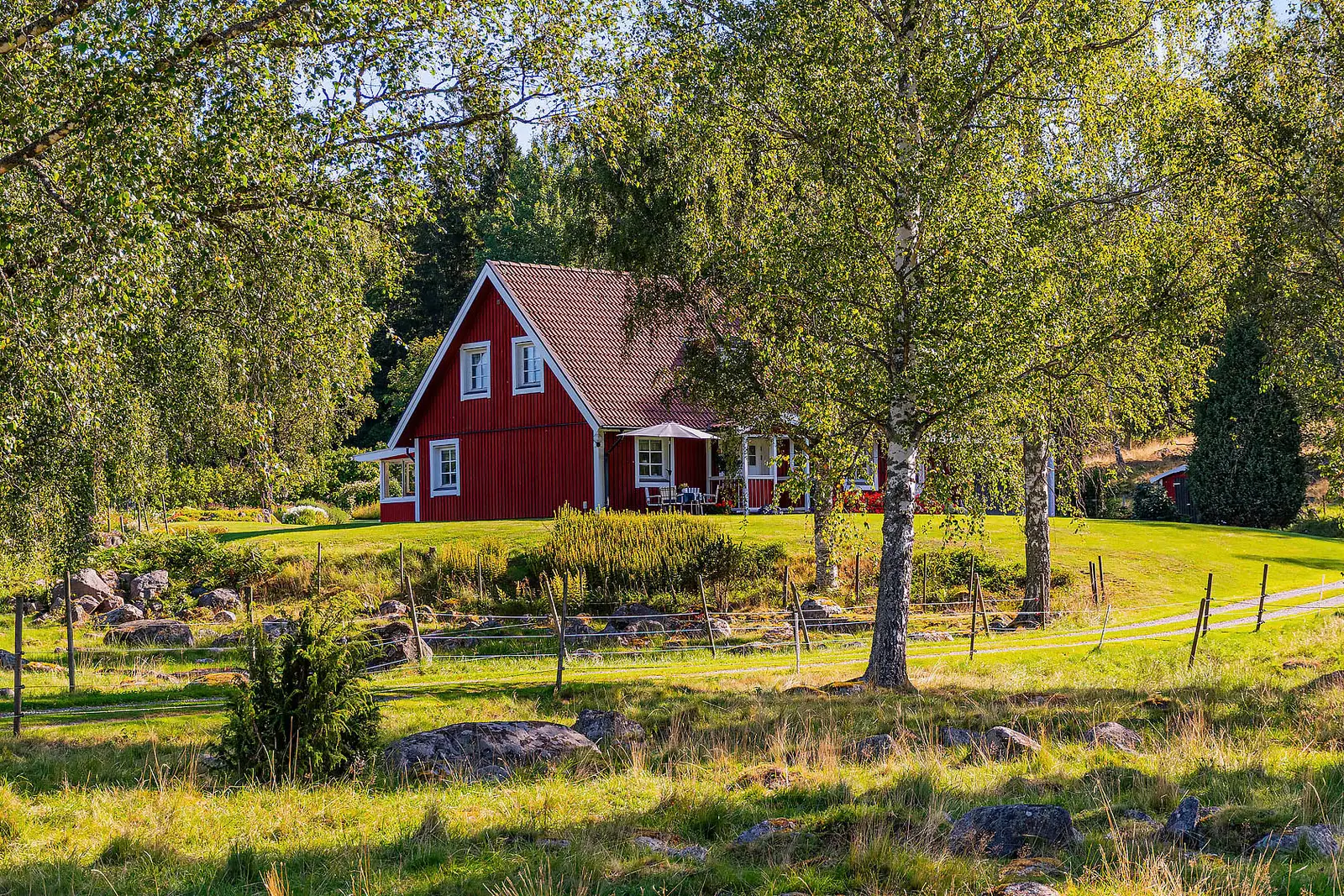 Bild 1 av 41 på Valltrand 2