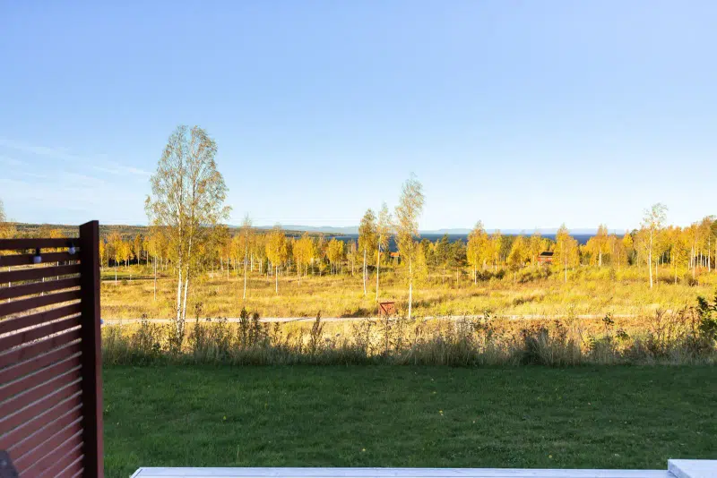 Apartment, 2 rooms, 61 m²