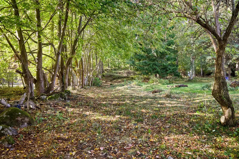 Land / plot