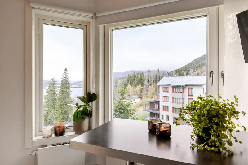 Apartment, 1 room, 17 m²