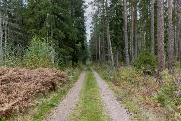 Gård i Vena