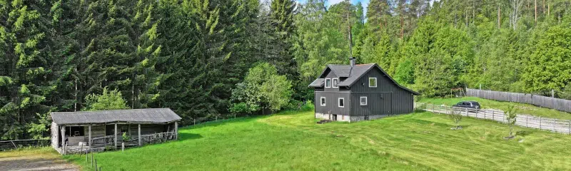 Svinedalen 1