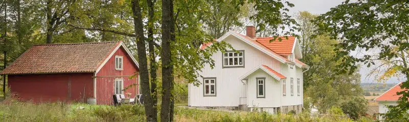 Ryk 5