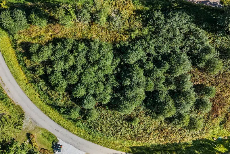 Land / plot