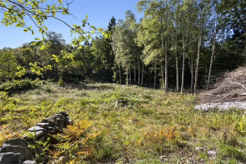 Land / plot