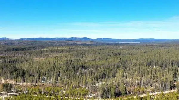 Gård i Härjedalen