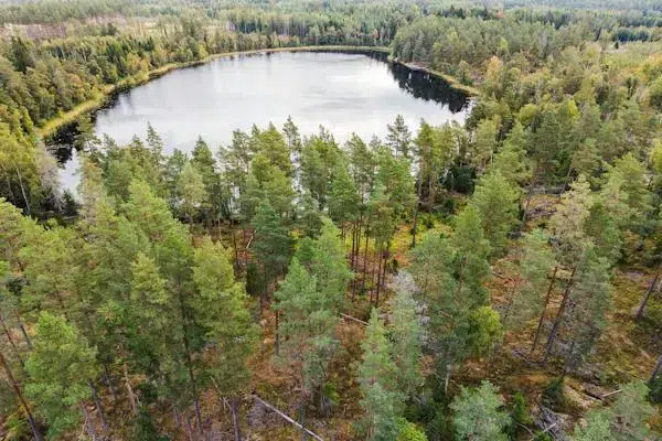 Gård