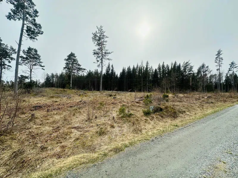 Tomt / mark i Fogdö