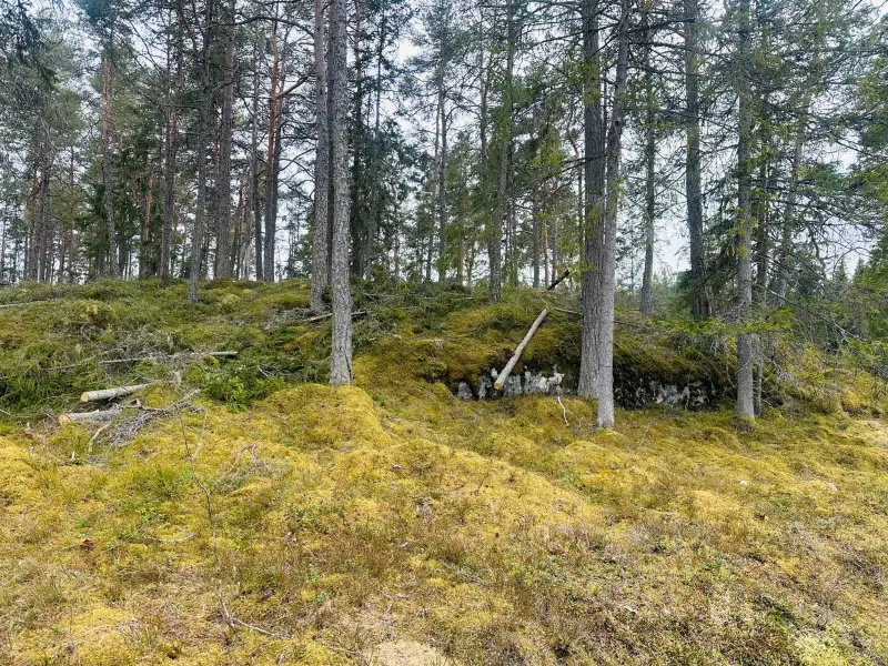 Tomt / mark i Fogdö
