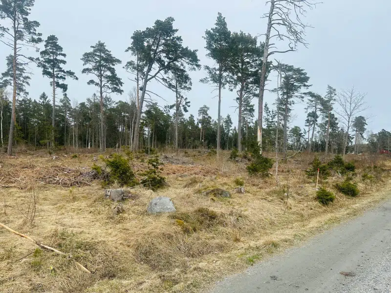 Tomt / mark i Fogdö
