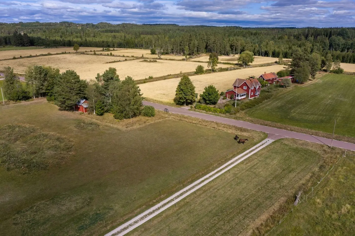 Bild 1 av 1 på Västbjörka