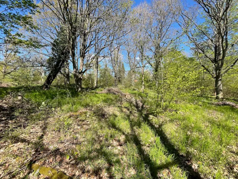 Land / plot