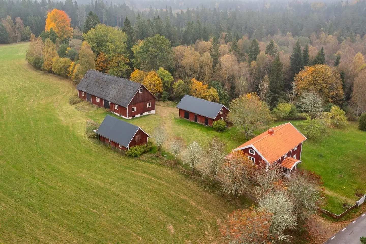 Bild 1 av 1 på Föreberg 2