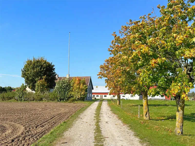House, 130 m²
