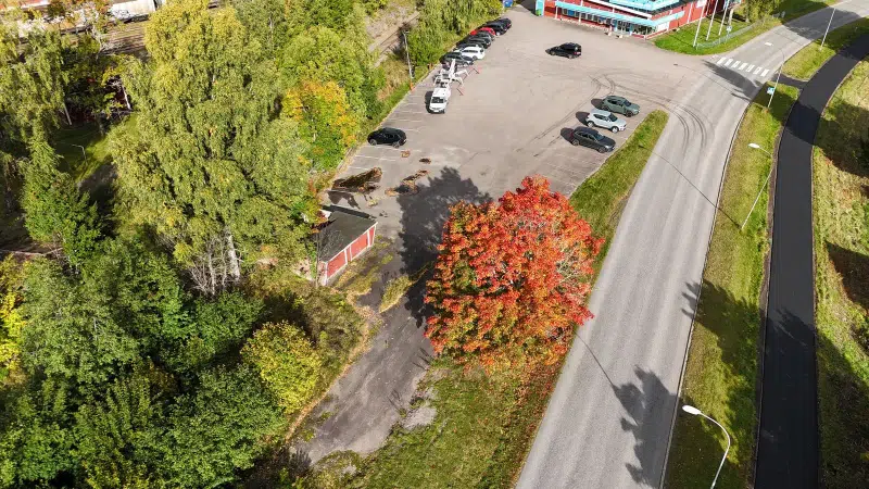 SKOGSÄNG SÖDRA 10