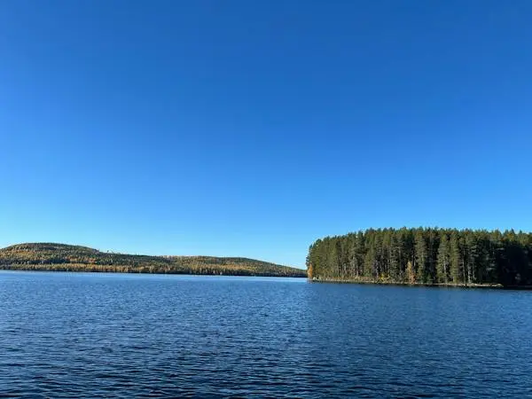 Image 1 of 1 of Lillön 110