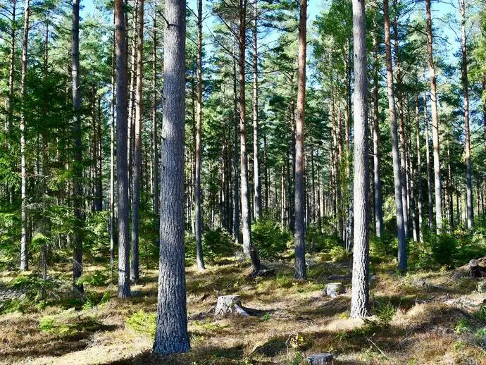 Image 1 of 1 of Adress saknas