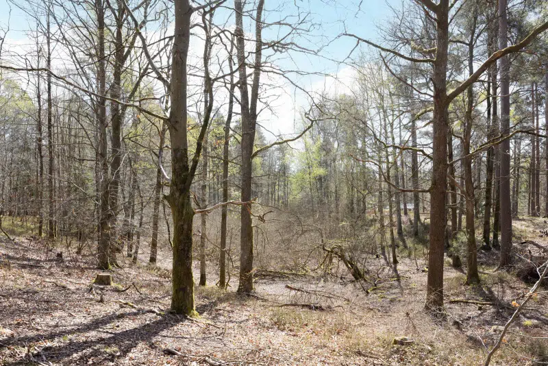 Land / plot in Hässleholm