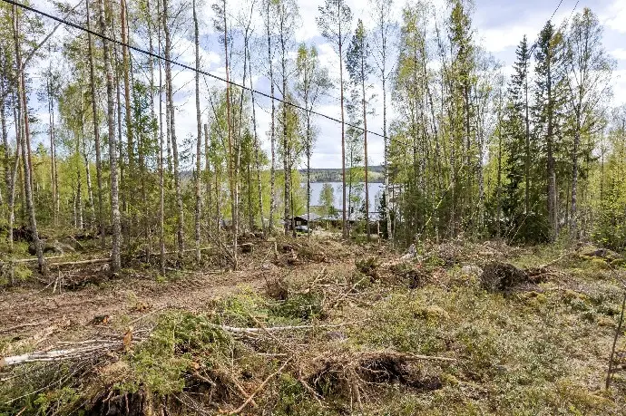 Bild 1 av 6 på Västra Trösten
