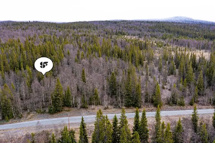 Bild 1 av 8 på Forsbäck 1:53