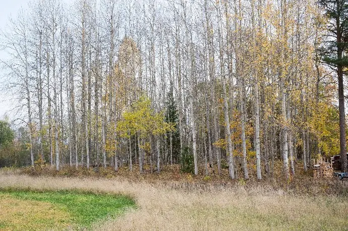 Land / plot, FÄRNA 2:71, Skinnskatteberg. Photo 1 of 7