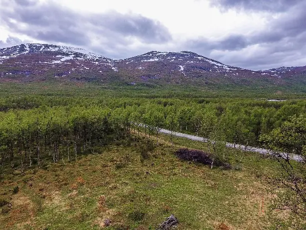 Bild 1 av 7 på Umfors 297