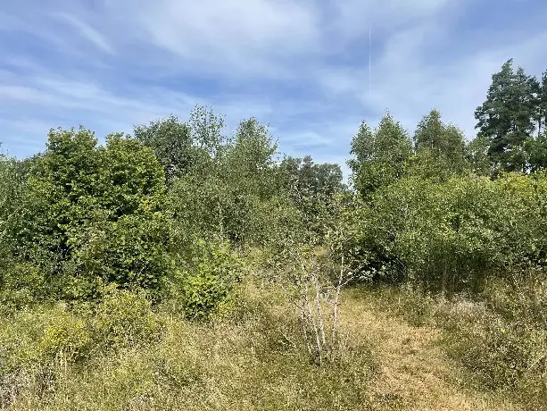 Land / plot, Dörby Malm, Mörbylånga. Photo 1 of 10
