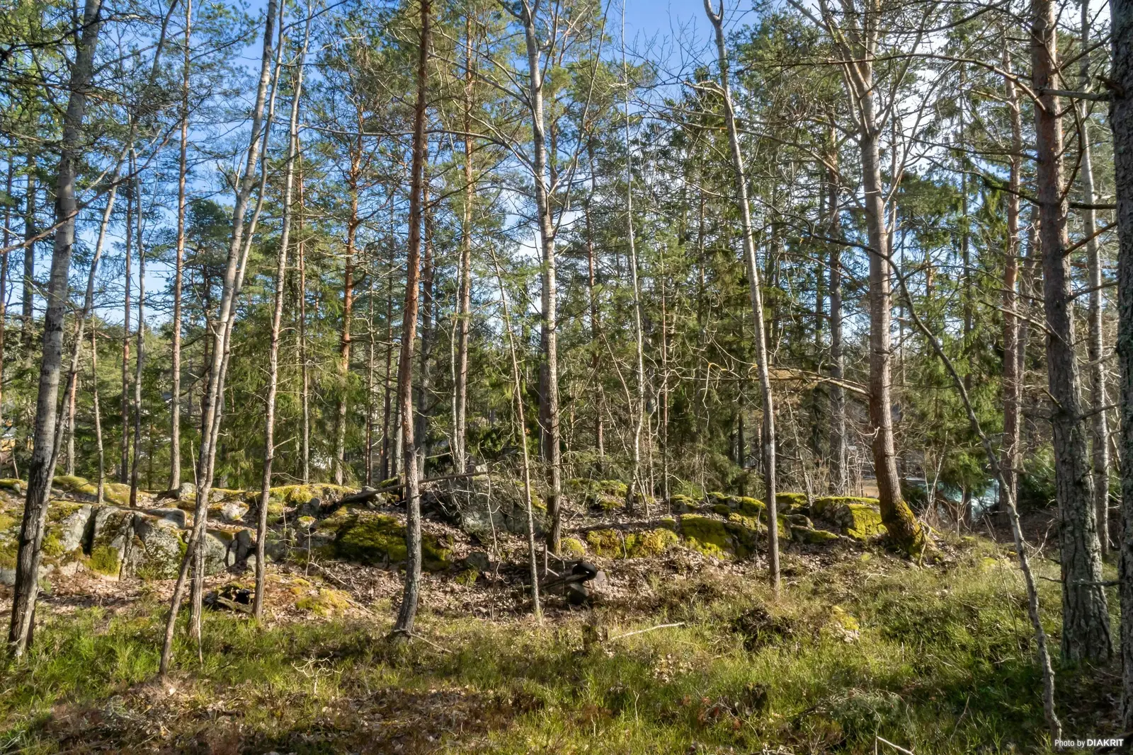 Bild 1 av 20 på Fjärilstigen 9