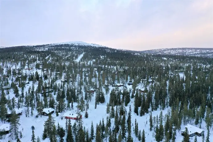 Image 1 of 16 of Borsttistelstigen 13