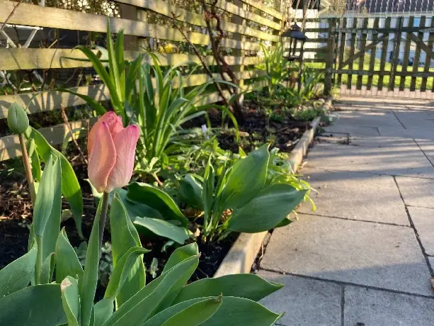Lägenhet, Ivar Claessons gata 27A, Kungälv. Bild 1 av 28