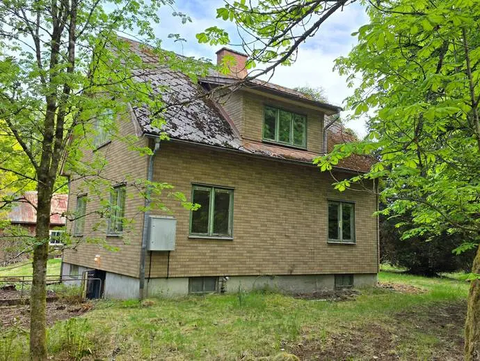 Image 1 of 19 of Dämhult 101