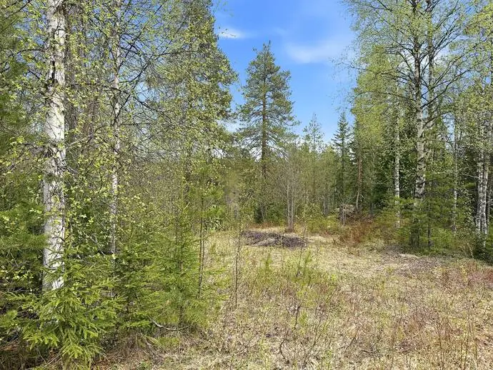 Land / plot, Femlidsvägen 12. Photo 1 of 9