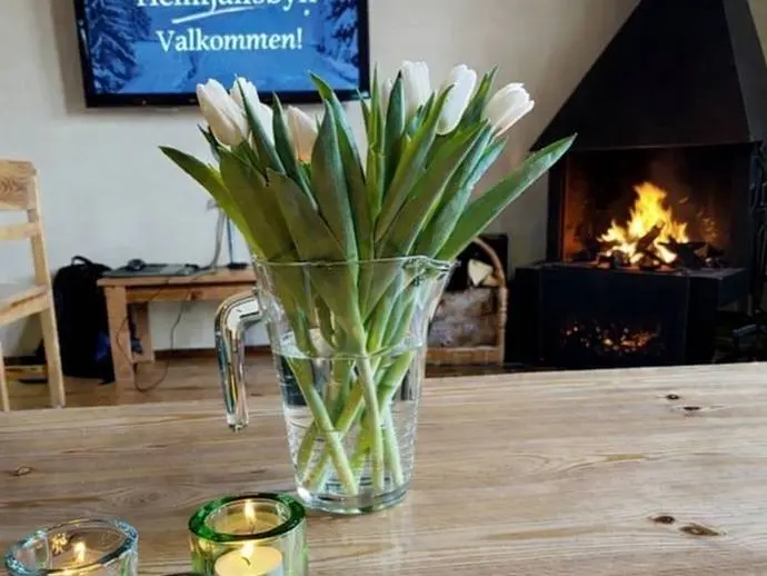 Holiday home, Brf. Hemfjällsbyn. Veckorna 16, 44 och 45. Hus 11B. SÄLEN. Photo 1 of 20