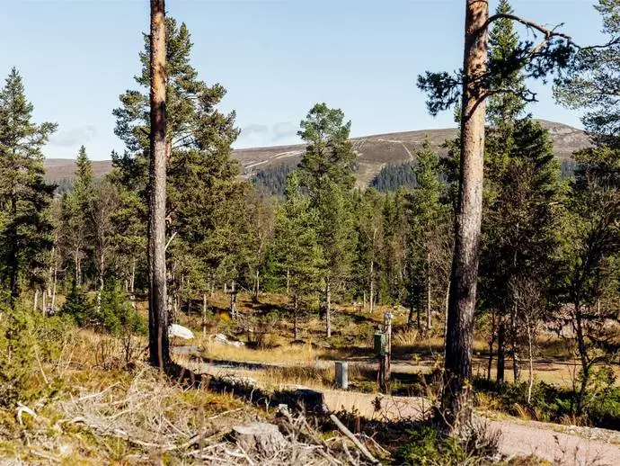 Tomt / mark, Valdalspersväg 16, Älvdalen. Bild 1 av 18