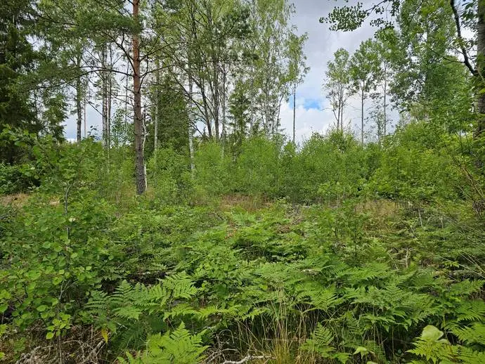 Tomt / mark, Tomt med möjlighet till byggrätt i Bergdala, Hovmantorp. . Bild 1 av 10