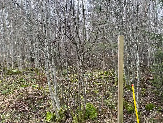 Image 1 of 3 of Hovmantorp