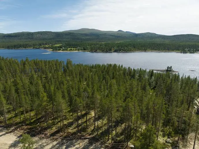 Land / plot, Lofsdalsvägen, Lofsdalen 26:282. Photo 1 of 20