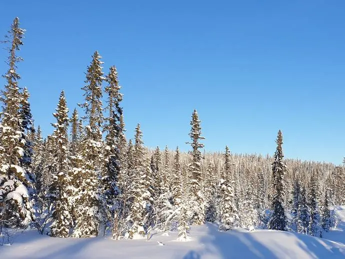 Tomt / mark, Vemdalsskalet Myrbärsstigen 22, Vemdalen. Bild 1 av 10