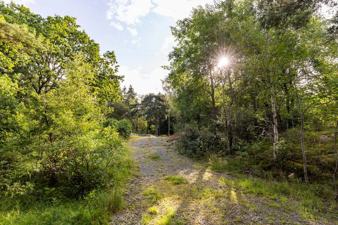 Bild 1 av 10 på Gällsås 390