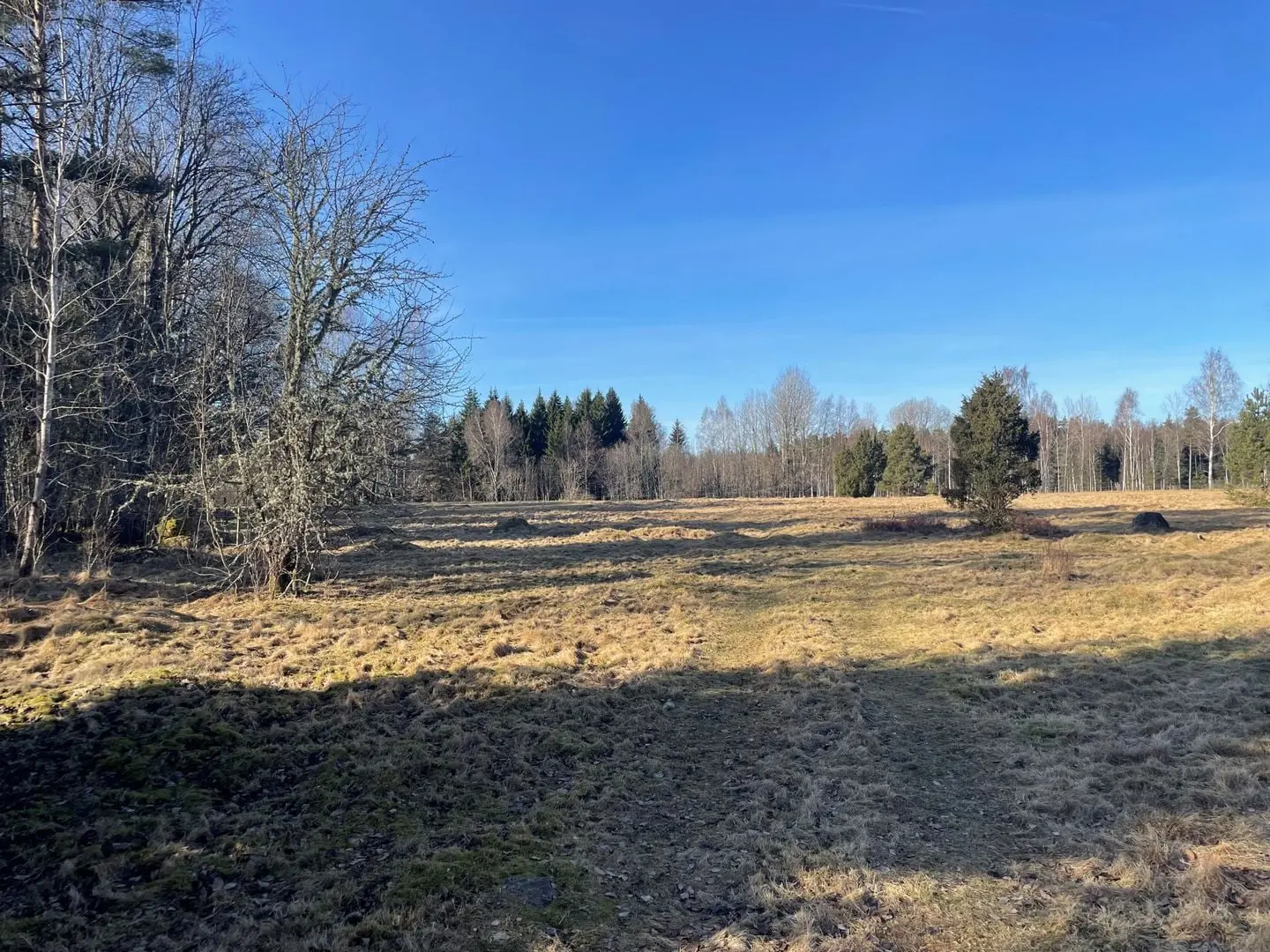 Gård, Åby Säteri 4, Ljungby. Bild 1 av 10