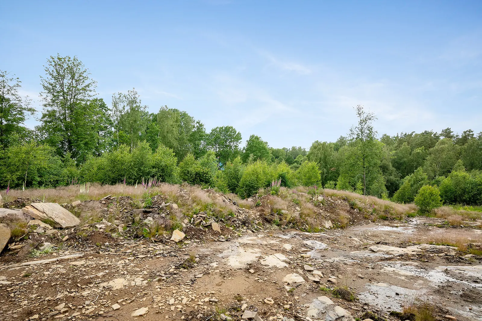 Image 1 of 5 of Stegareberg Kullabacken 1