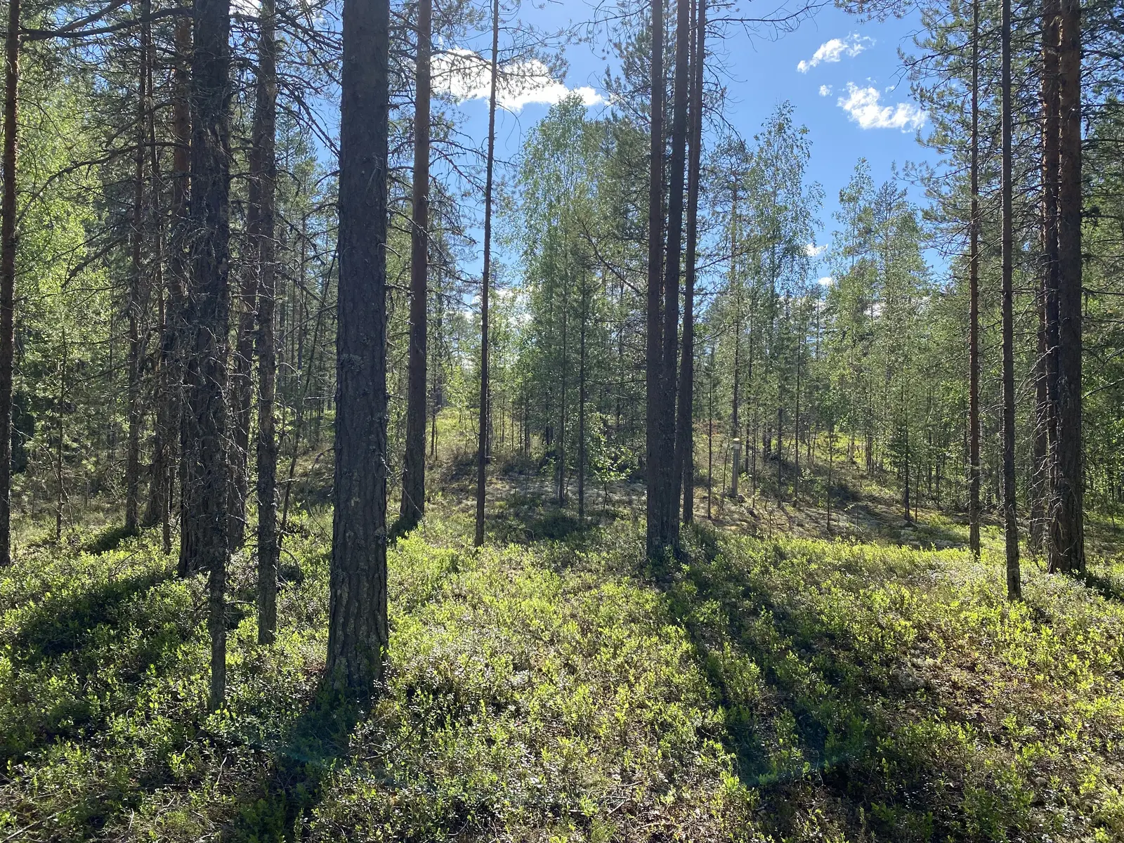 Bild 1 av 15 på Särnabyn 58:16