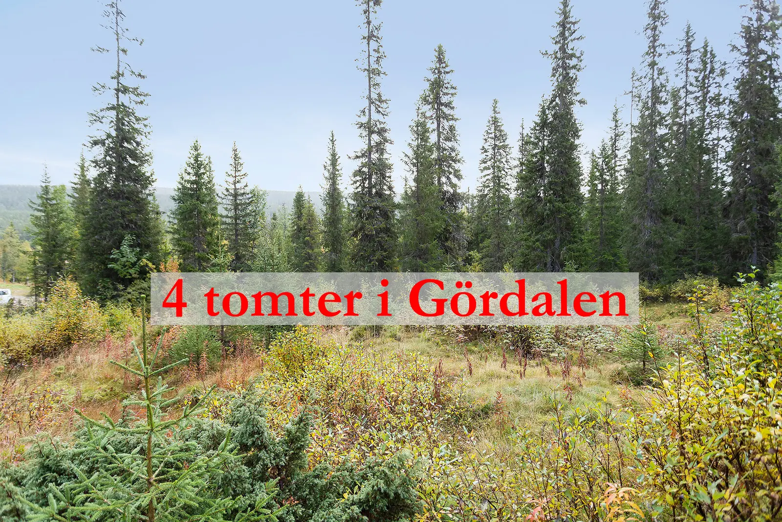 Tomt / mark, ÄLVDALEN GÖRDALEN 1:18, 1:19, 1:21, Älvdalen. Bild 1 av 20