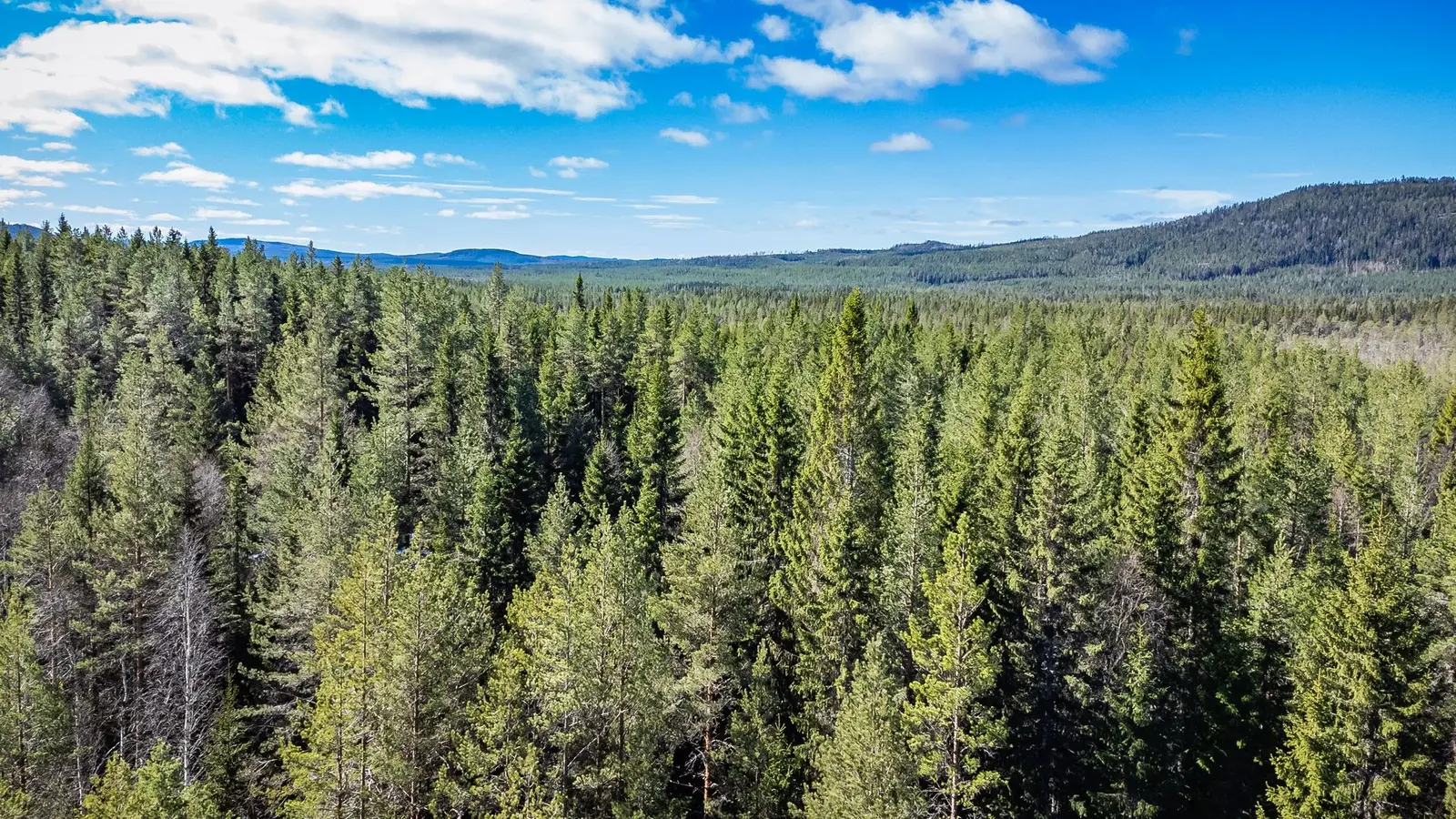 Lägenhet, Del av Ånge Turingen 1:9. Bild 1 av 15