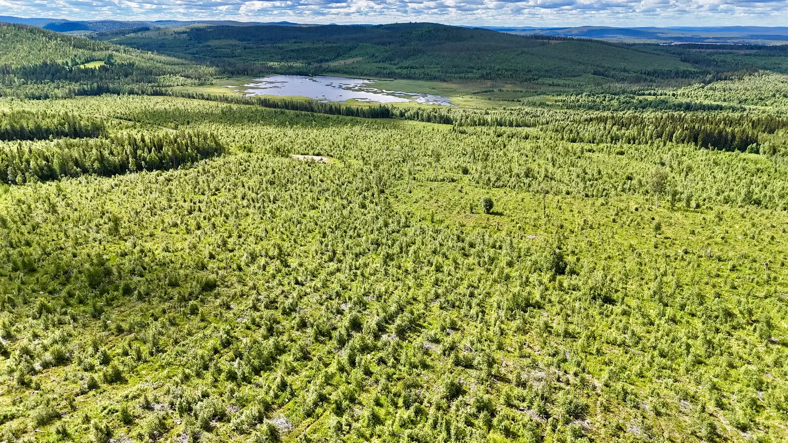 Lägenhet, Norsjö Granlandet 1:1, Norsjö. Bild 1 av 11