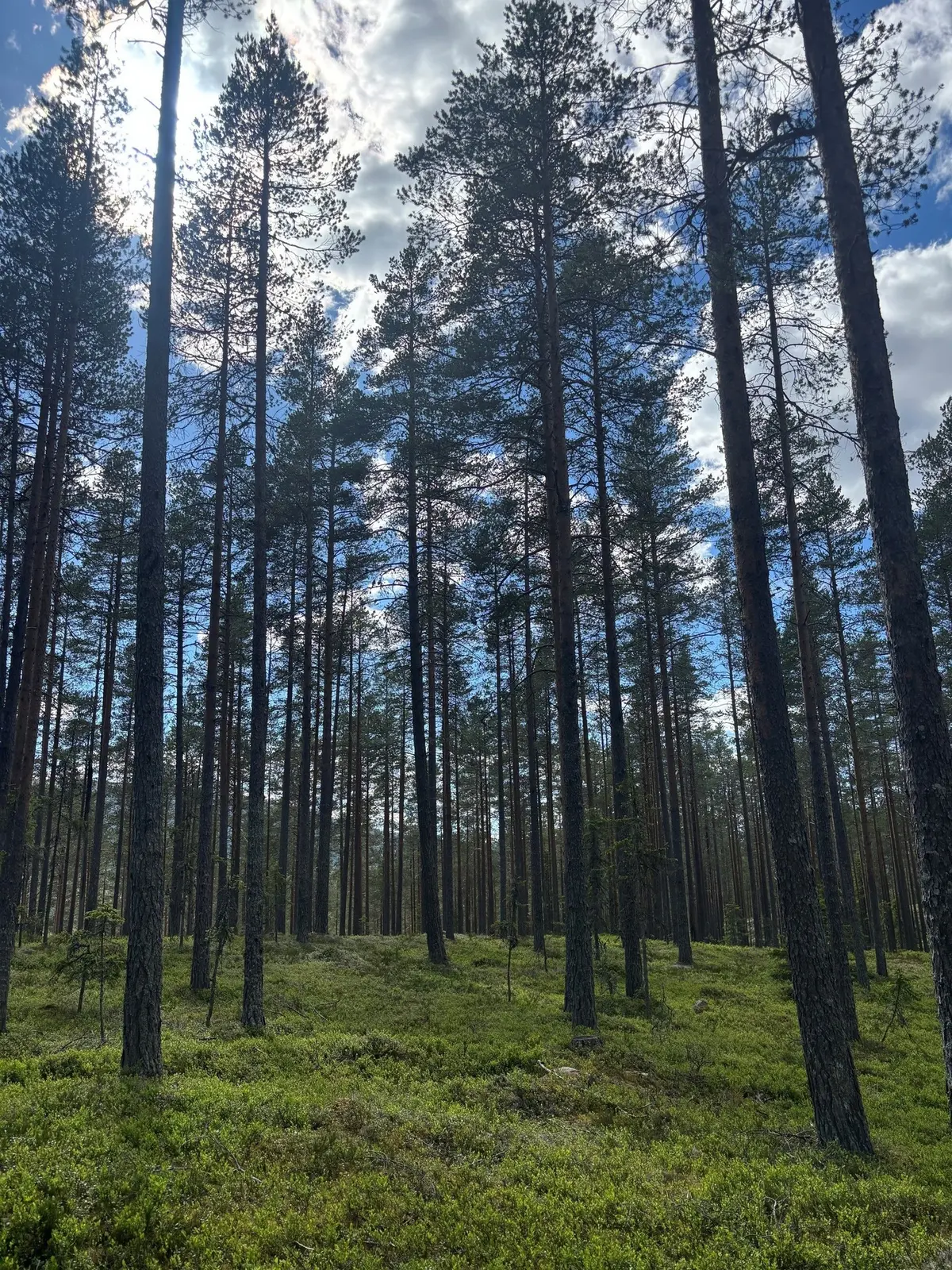 Övrigt, MALUNG-SÄLEN VÖRDERÅS 16:7. Bild 1 av 12