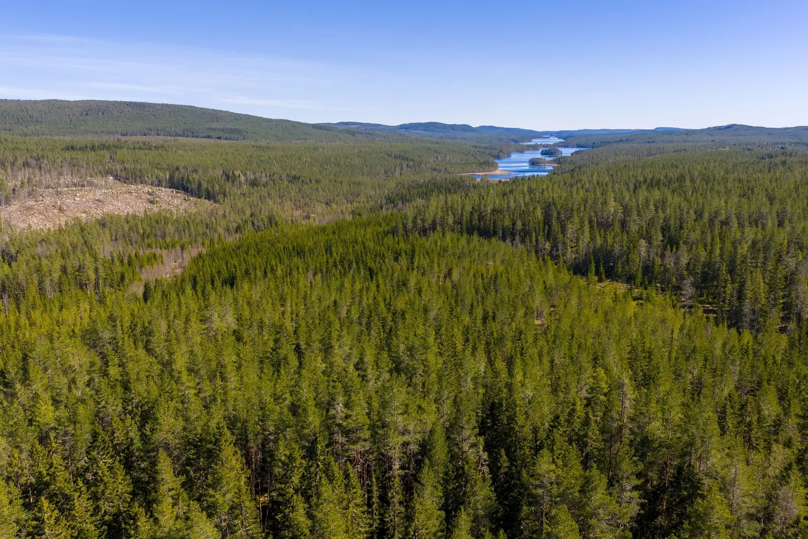 Gård, MALUNG-SÄLEN TYNGSJÖ 13:9. Bild 1 av 36