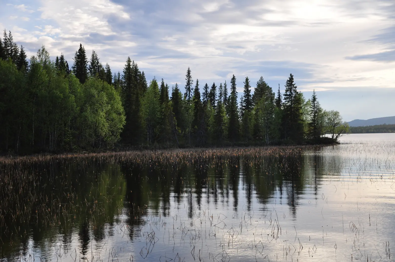 Gård, SORSELE FJÄLLNÄS 1:9, SORSELE FJÄLLNÄS 1:14. Bild 1 av 35