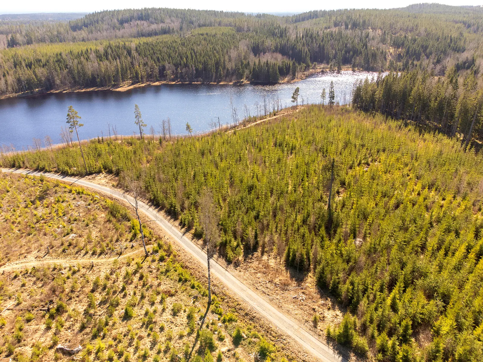 Lägenhet, Skog i Torhyttan, 44 ha. Bild 1 av 20