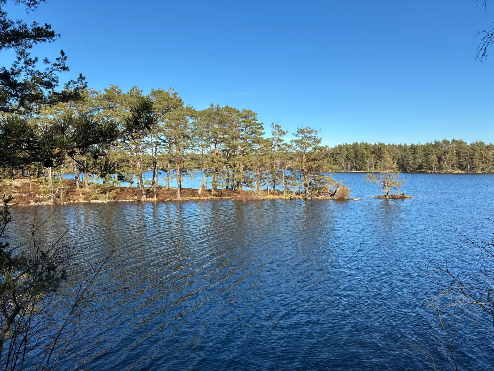 Gård, Stor skogsegendom med sjöläge och virkesrik skog. Bild 1 av 20